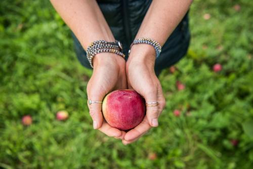 a person holding an apple in their hands at Sun Lodge in Peru
