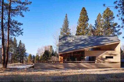a house in the woods with a zinc roof at The Skwala Lodge in Darby