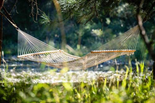 a hammock hanging from a tree in a park at The Skwala Lodge in Darby