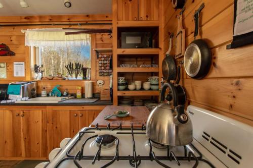 y cocina con fogones y hervidor de agua. en Dragonwood Bunk House, en Abbot Village