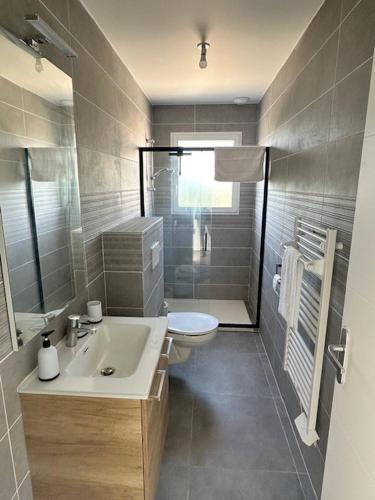 une salle de bain avec un lavabo et des toilettes dans l'établissement House with 5 bedrooms lechaffardcom, à Satolas-et-Bonce