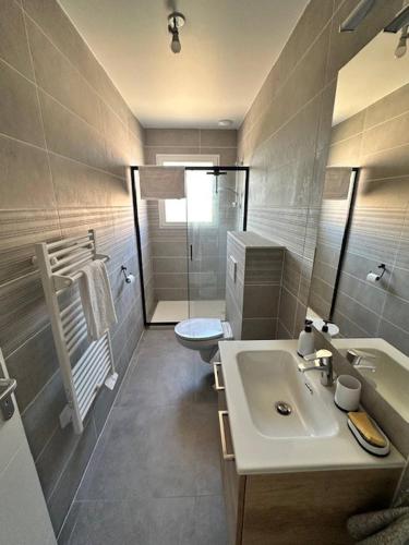 une salle de bain avec un lavabo, une douche et des toilettes dans l'établissement House 40 With 5 Bedrooms Lechaffardcom, à Satolas-et-Bonce