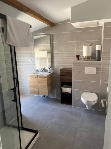 une salle de bain avec toilettes et lavabo dans l'établissement House 10 with 1 bedroom lechaffardcom, à Satolas-et-Bonce