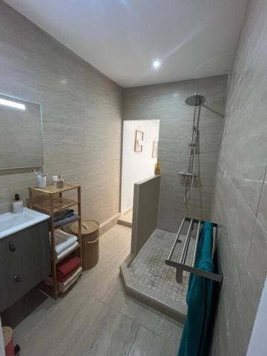 a bathroom with a shower and a sink and a mirror at Superbe 2 chambres avec piscine in Baie Nettle