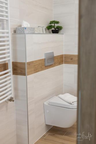 a bathroom with a toilet with a glass wall at Ludvig Panzió in Villány