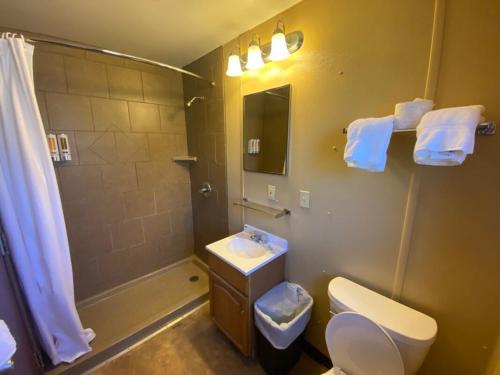 Un baño de Thousand Hills State Park Cabins