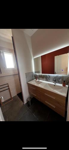 une salle de bain avec un lavabo et un miroir dans l'établissement Maison chaleureuse avec jardin, à Bourges