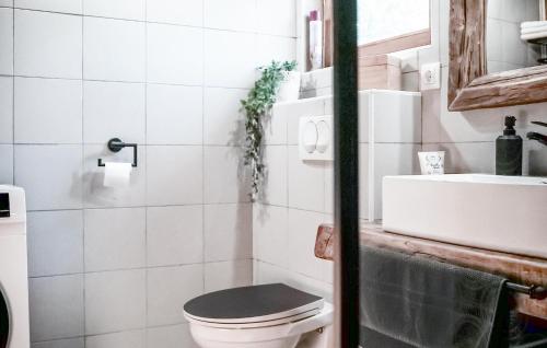 a bathroom with a toilet and a sink at Stunning Home In Kostanjevac in Kostanjevac
