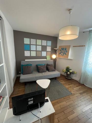 un salon avec un canapé et une table dans l'établissement Le fonctionnel, à Tours