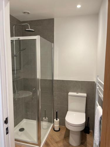 a bathroom with a toilet and a glass shower at Troed-Y-Rhiw in Llangynwyd