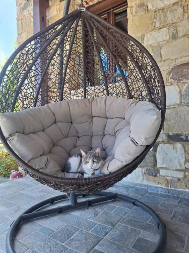 a cat sitting in a wicker swing chair at Το Κονάτζι in Statos and Ayios Photios