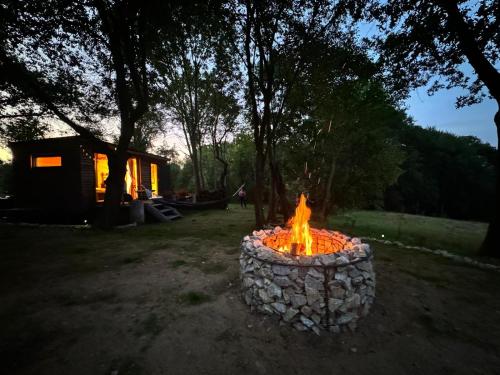 Tiny house - Schoulenka pod mirabelkami