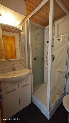 une salle de bain avec une douche en verre et un lavabo dans l'établissement Mountain studio HN, à Nendaz