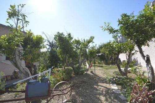 a garden with a bunch of trees and bushes at Appartement Gatti in Sorso