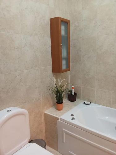a bathroom with a toilet and a cabinet and a plant at Casa de Freixo in Freixo de Espada à Cinta