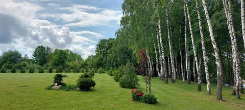 a green field with trees and bushes and flowers at Marių įlanka in Marijampolė
