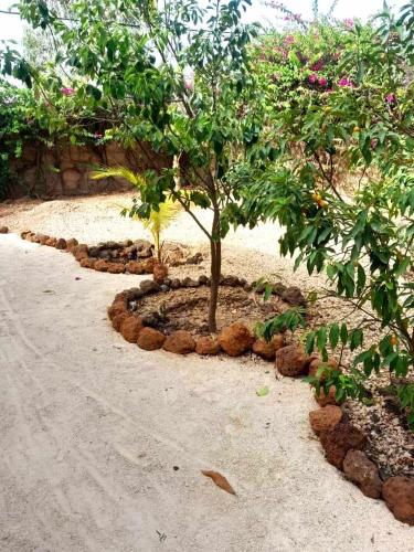a tree in the middle of a dirt road at Campement Baobab in Poponguine