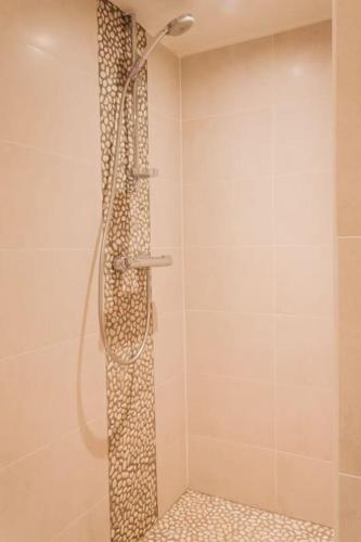 une douche avec pommeau de douche dans une salle de bain dans l'établissement Gîte moderne et cosy et plein de charme, à Schnersheim