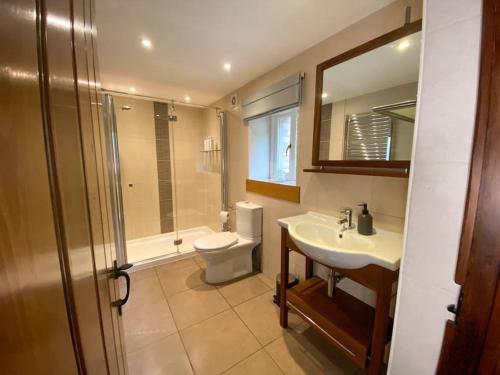 a bathroom with a toilet and a sink and a shower at Stunning character cottage near Keswick in Threlkeld