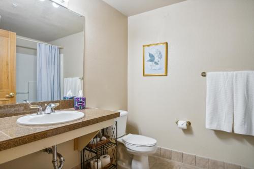 a bathroom with a sink and a toilet and a mirror at Cozy Ski-In Ski-Out Condo with Heated Pool in Keystone