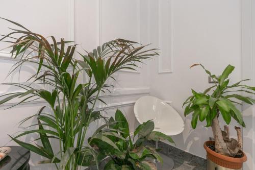 two potted plants sitting on a table in a room at Duomo Smart Suites in Milan