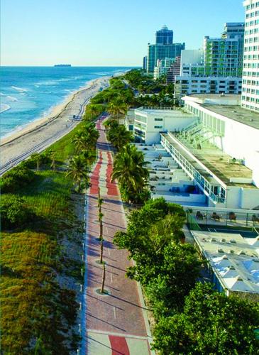 a beach with palm trees and buildings and the ocean at Castle 1120 Bayview Studio, Beach access, Pool, Tennis, Free parking in Miami Beach