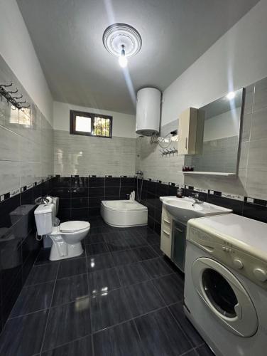 a bathroom with a toilet sink and a washing machine at Xhani Camping&Farm in Gucia e Re