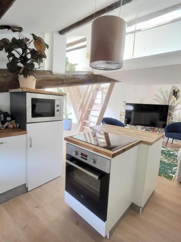 Il comprend une cuisine équipée d'une cuisinière. four supérieur à côté d'un comptoir dans l'établissement Jungle Loft Béziers centre, à Béziers