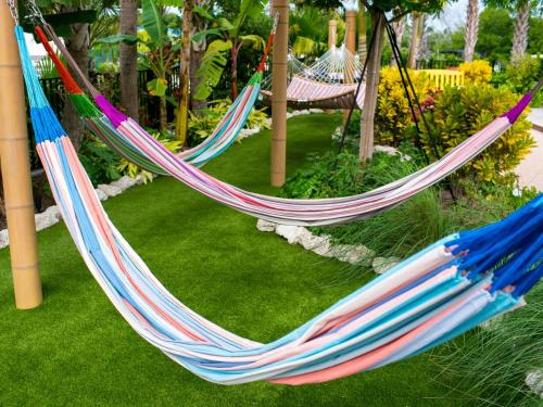 a couple of hammocks in a garden at Sugarloaf Key Hotel at KOA Resort in Summerland Key