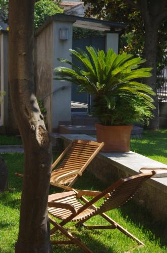 a wooden chair sitting in the grass next to a tree at La magnolia B&B in Baronissi