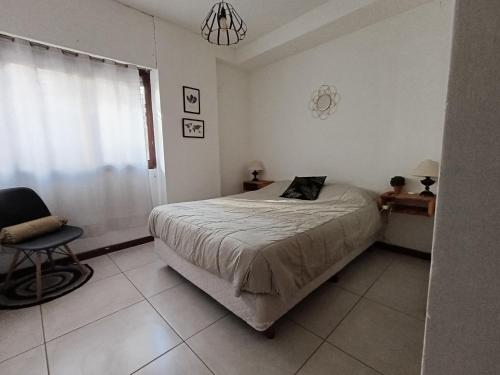 Un dormitorio con una cama, una silla y una ventana en Plaza Mayor Andrea CENTRO DE MZA, en Mendoza