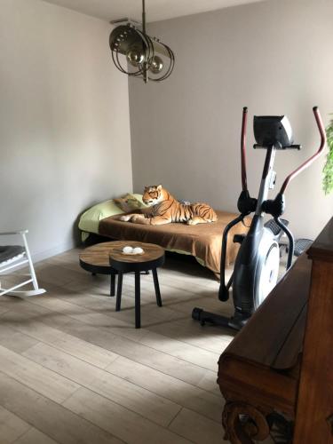Cette chambre comprend un lit avec un chat. dans l'établissement Maison calme, à Rousson