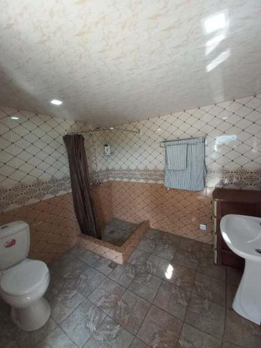un baño con inodoro y lavabo en Vamesa, en Haghpat
