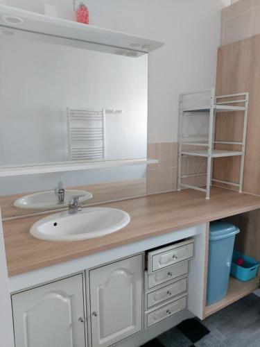 une salle de bain avec un lavabo et un miroir dans l'établissement Maison de vacances - Locagrues 24C - Animal admis, à Grues