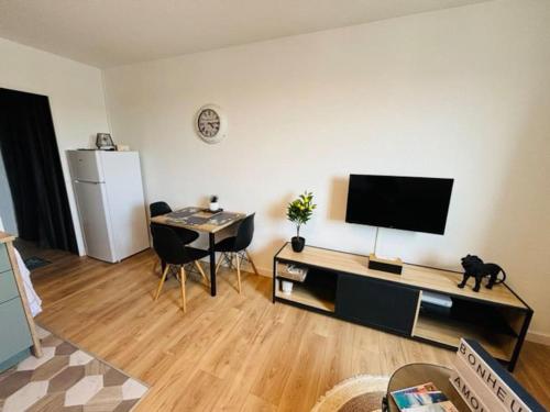 - un salon avec une télévision et un chat sur une table dans l'établissement studio calais côte d'opale, à Calais