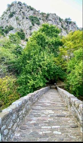 a stone path with trees on the side of a mountain at Villa Pialia in Piáleia