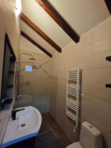 a bathroom with a toilet and a sink at Prima Casa in Kotor