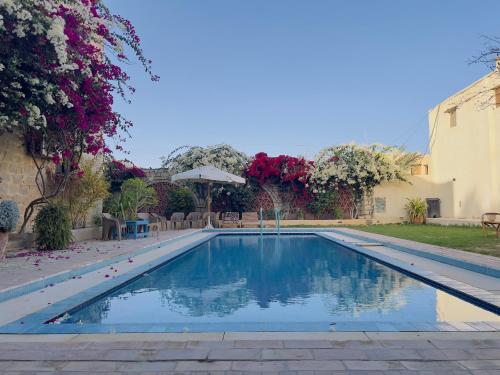 Πισίνα στο ή κοντά στο Zad Elmosafer Villa - Tunis Village