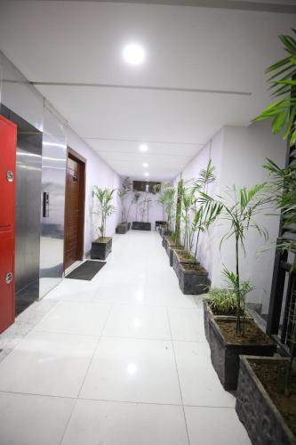 an office hallway with potted plants on the walls at Penthouse in Islamabad by Bella Vista in Islamabad