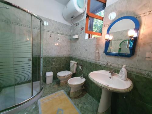 a bathroom with a sink and a toilet and a shower at Sara Guesthouse in Berat