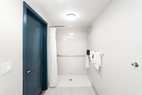 a bathroom with a shower and a blue door at Hotel Sylva in Sylva