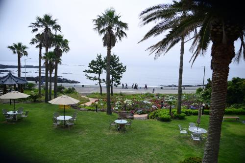 a park with tables and palm trees and a beach at Jennyville Pension in Seogwipo