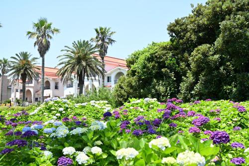 a garden of flowers with palm trees in the background at Jennyville Pension in Seogwipo