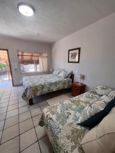 a bedroom with two beds and a window at Cabo Pulmo Beach Resort in Cabo Pulmo