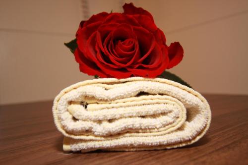 a red rose in a vase on a table at Pension Edelweiss in Breitenbach am Inn