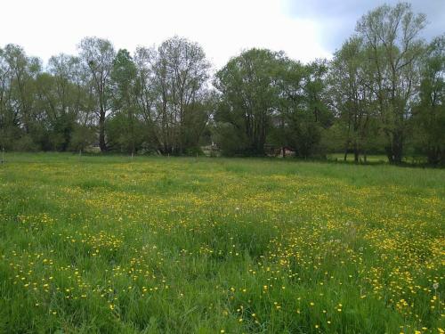 cosy, zen, télétravail cool