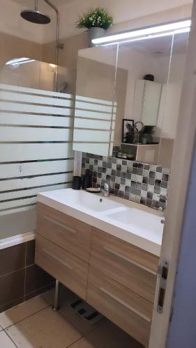 une salle de bain avec un lavabo et un miroir dans l'établissement Cosy & Style blue forest room proche CDG AirPort, à Tremblay-en-France