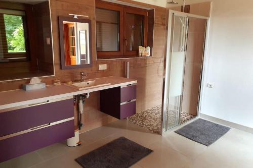 une salle de bain avec un lavabo et une douche dans l'établissement Le gîte de Paul, à La Caure