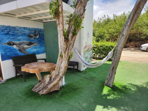 Zahrada ubytování Hotel La Jungla