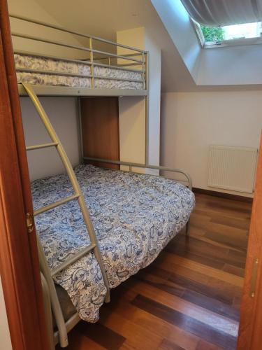 a bedroom with a bunk bed with a ladder at Ca Na Martina in Carreña de Cabrales 
